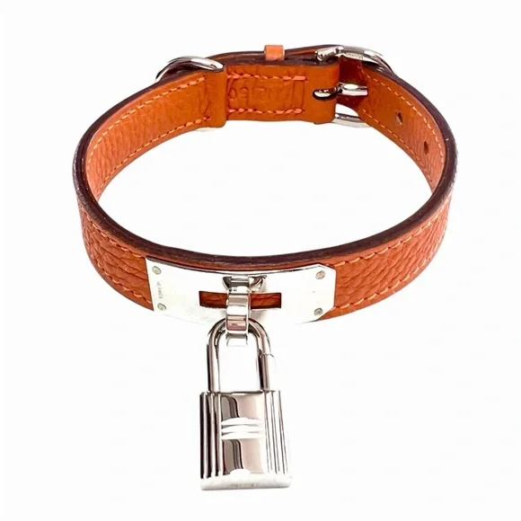 Hermes Orange Pet Collar and Leash Set - Picture 3 of 16
